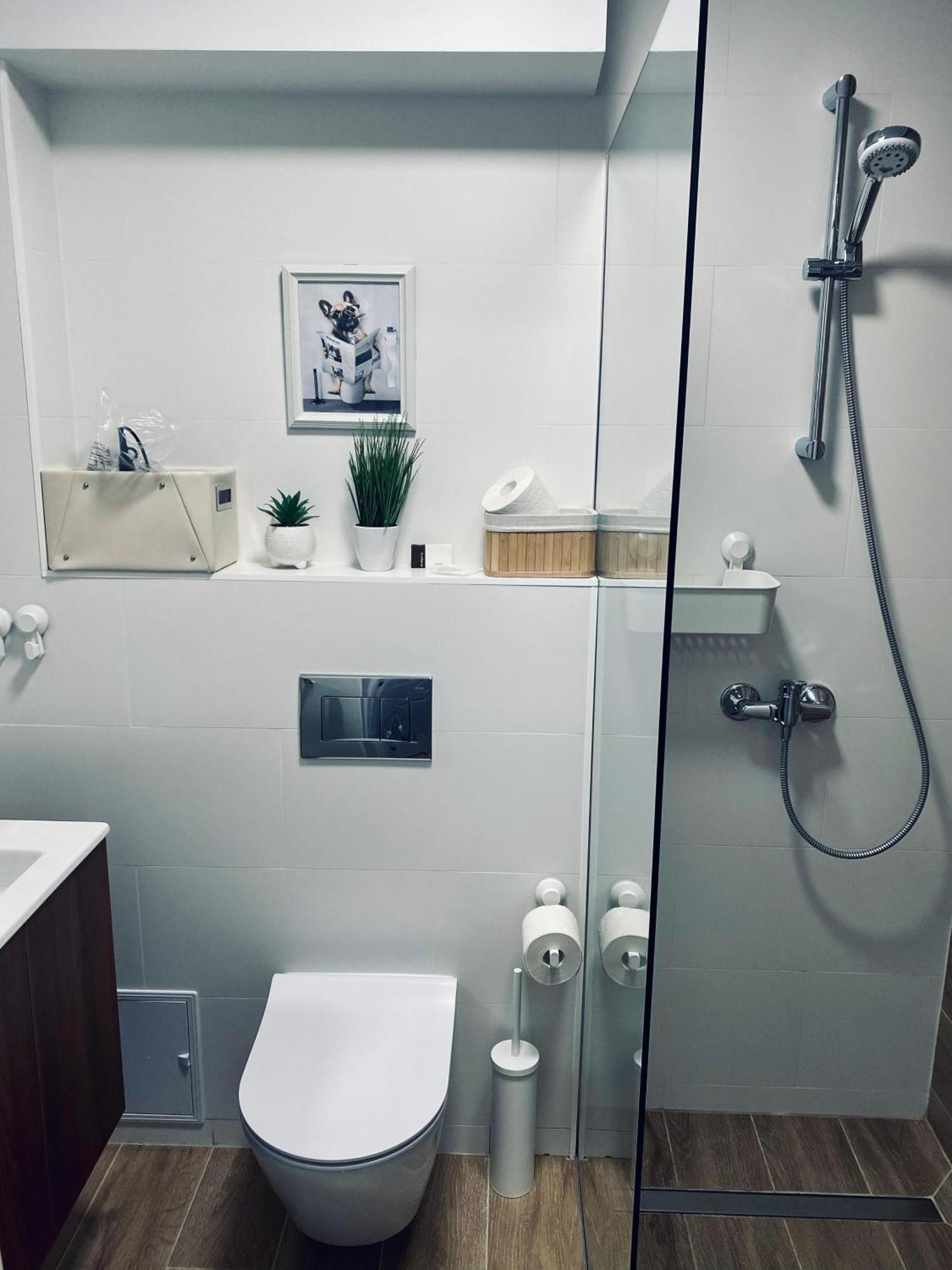 Central Luxury Apartment Iasi Eksteriør bilde